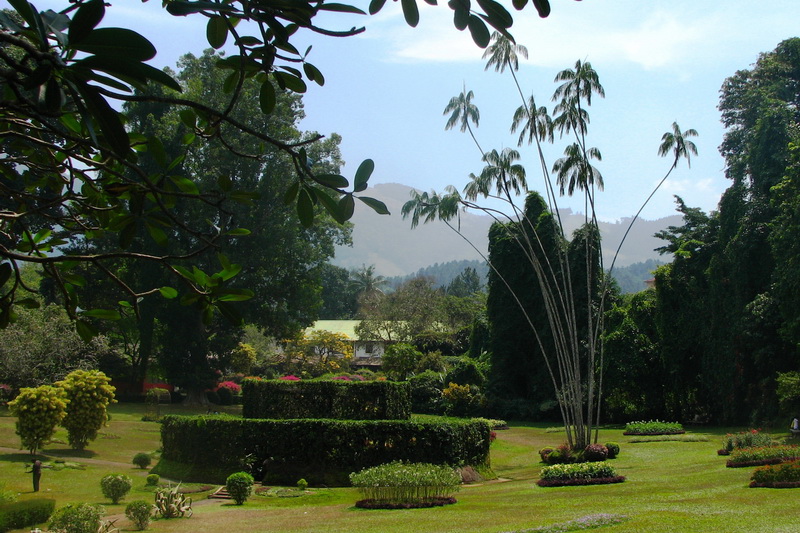 Sri Lanka, Kandy, Royal Botanical Garden